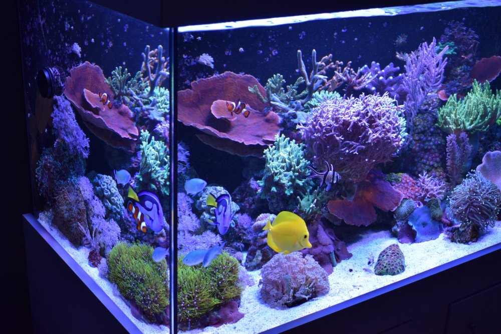 DSC_3949 (Kopiowanie).JPG