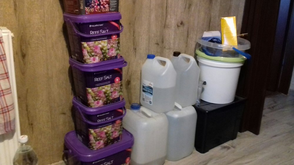 reef salt.jpg