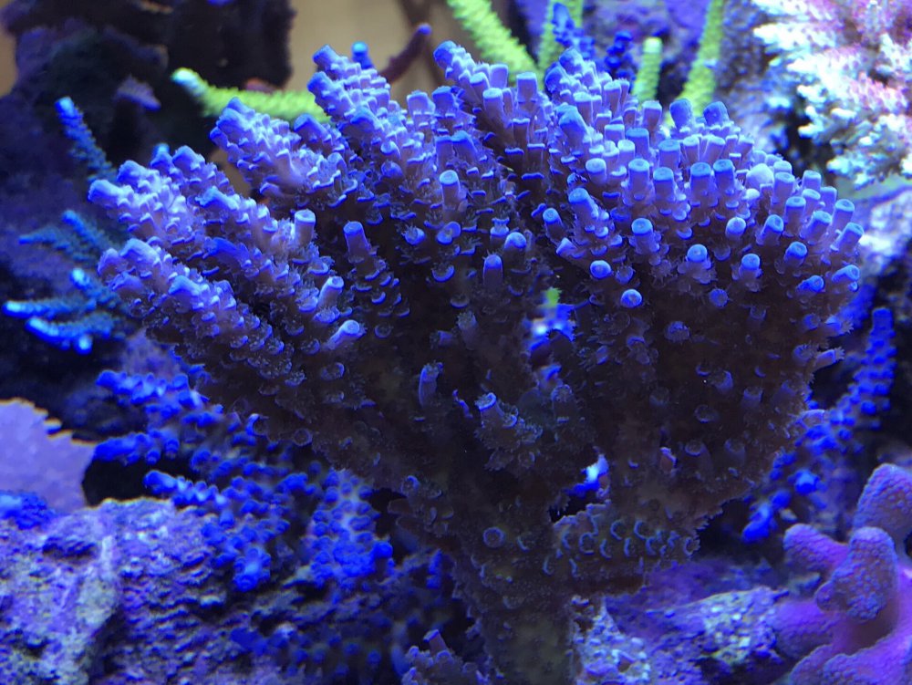 794C1876-9193-4541-B02E-D1A41469B58C-304