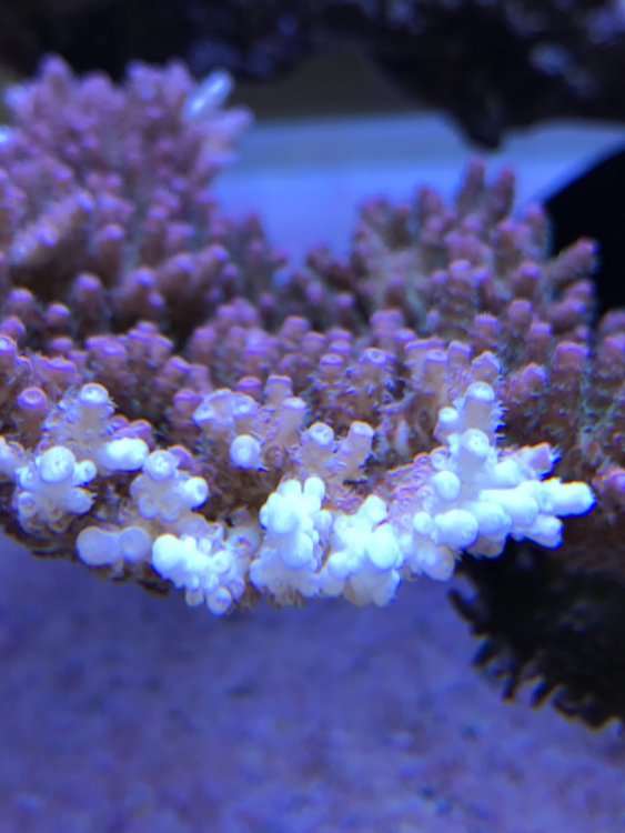 80FFED2B-0CDB-4870-87FC-15B8D30D13AD-304