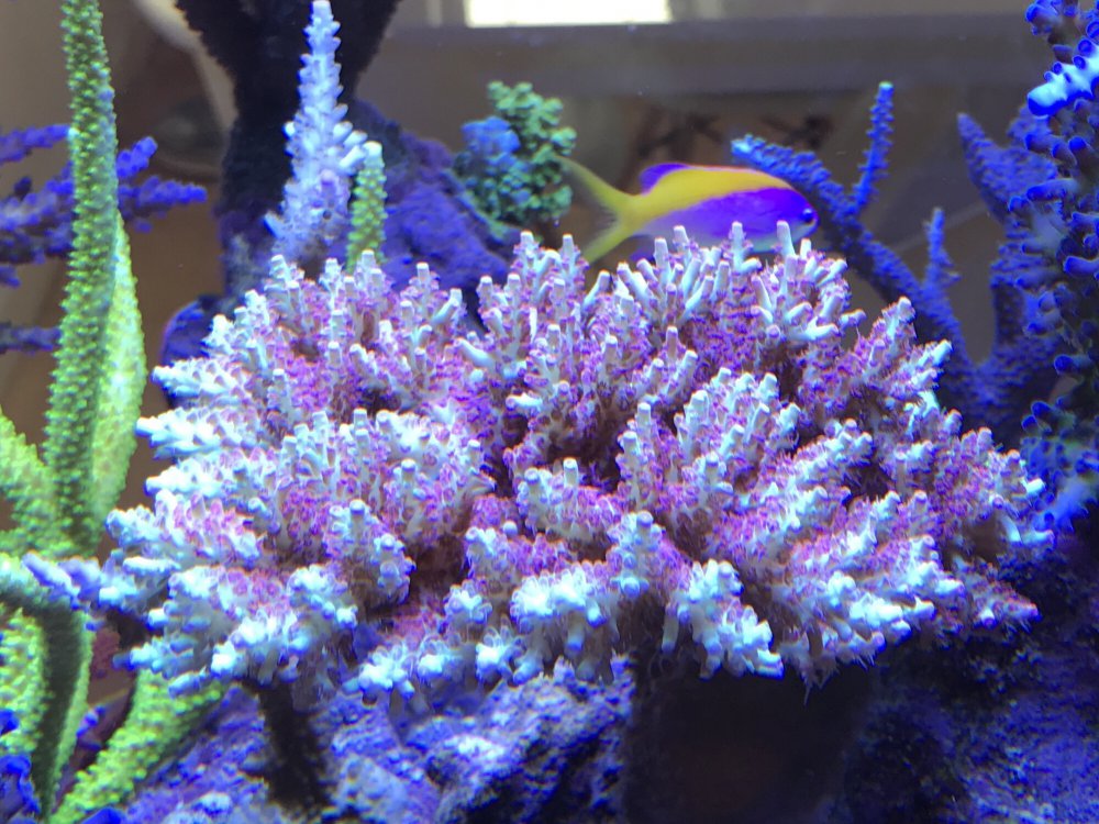 8C851F11-699B-4318-AFD5-C30EDCD5EB2E-304