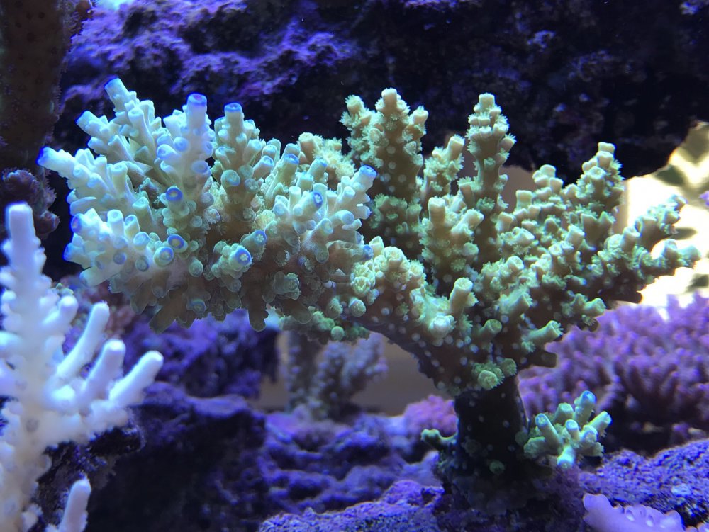 8D051DDA-50EC-479E-ACF8-28BEA85613A4-304