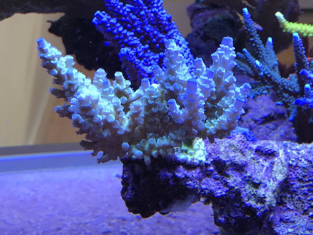 96C623B5-489D-40B0-B250-C4D8FF1E0BE9-304