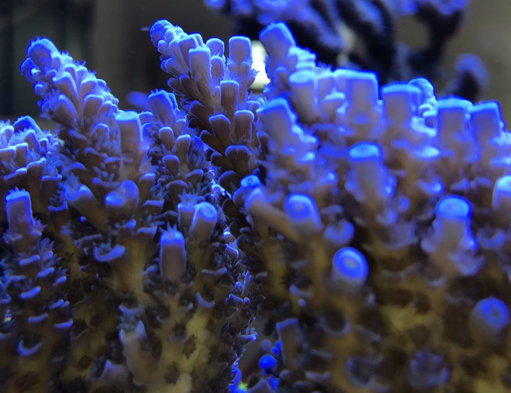 98767D6F-EB8B-4D7D-99DE-893DB16C2D17-304