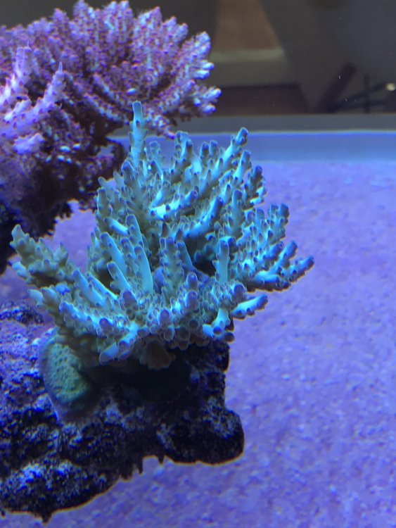 9B1DF848-A15B-41BA-B065-A5422DEB2A10-304