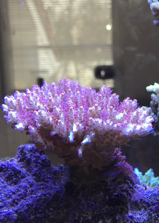 A9AD1167-5A99-49EB-AE51-25362667761F-304