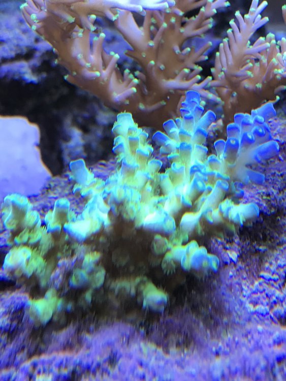 AAD306AC-33C6-47EA-82D1-921557224BA0-304