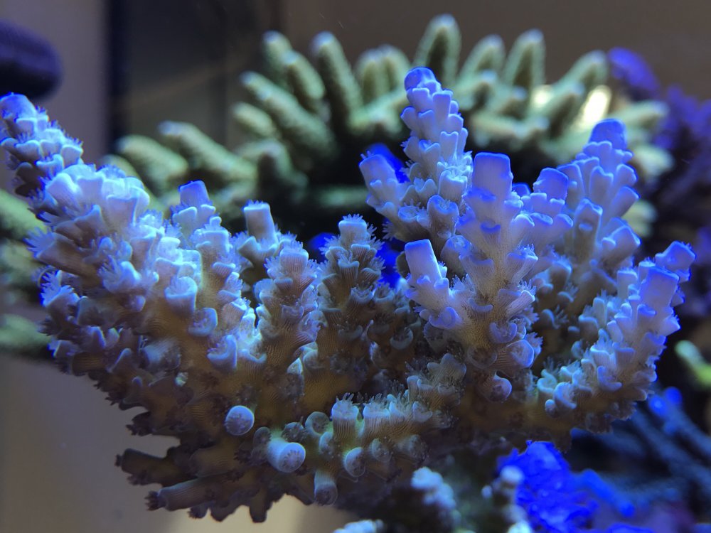 BD254893-88F3-46C2-9BE0-D3390D6CE8DF-304