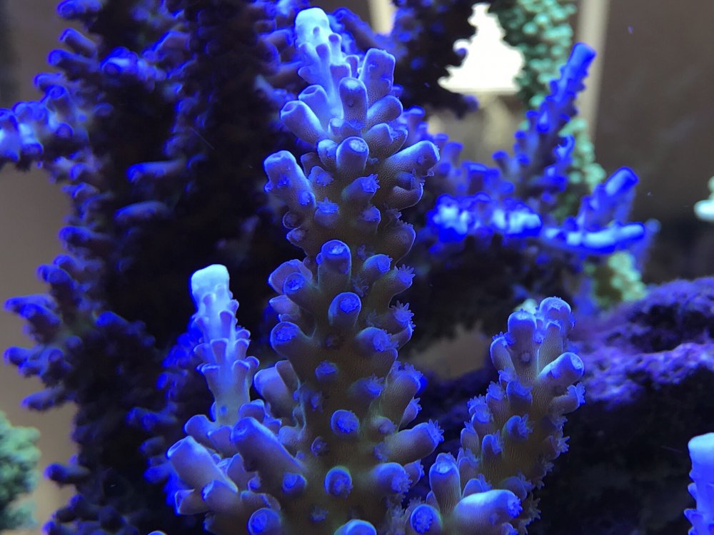 C2D80E60-1F9B-49B5-8B04-5B0F000FFC94-304