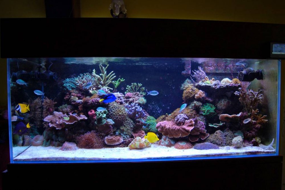 DSC_5219.thumb.JPG.f9e5ed506fff467b983dc