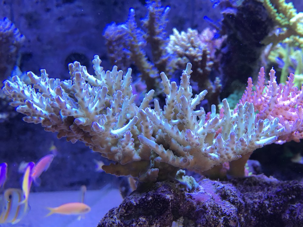 EB26696E-F32F-496B-90AB-22ACDF8C9217-304