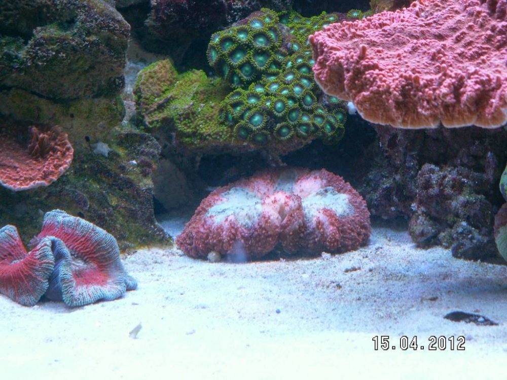 PICT2723.thumb.JPG.df2b58d36497bfbfe9000