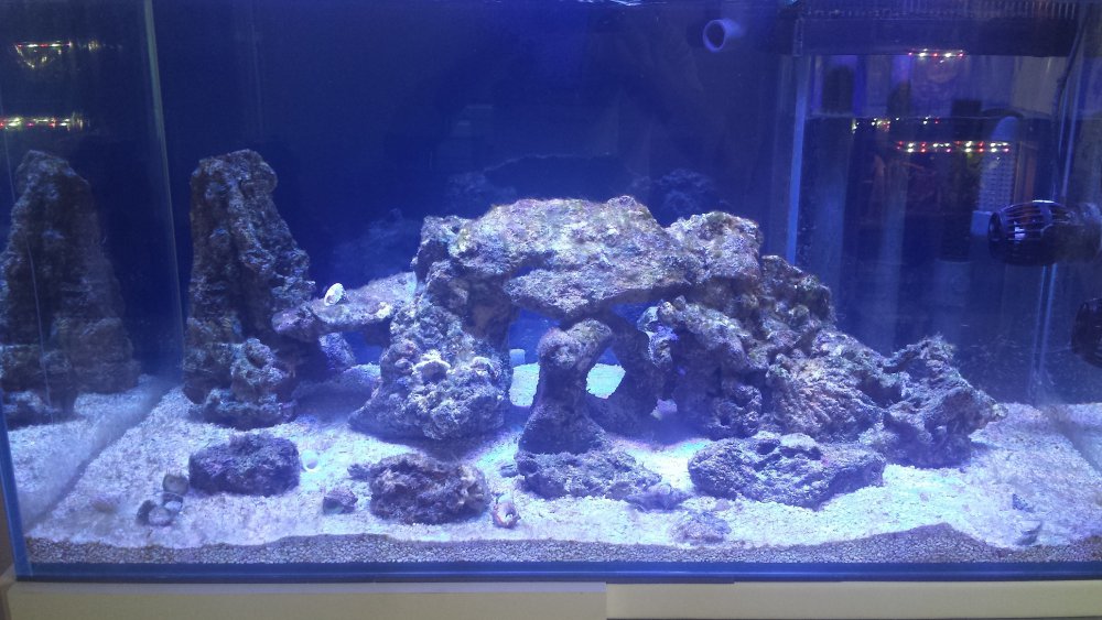 akwarium.jpg