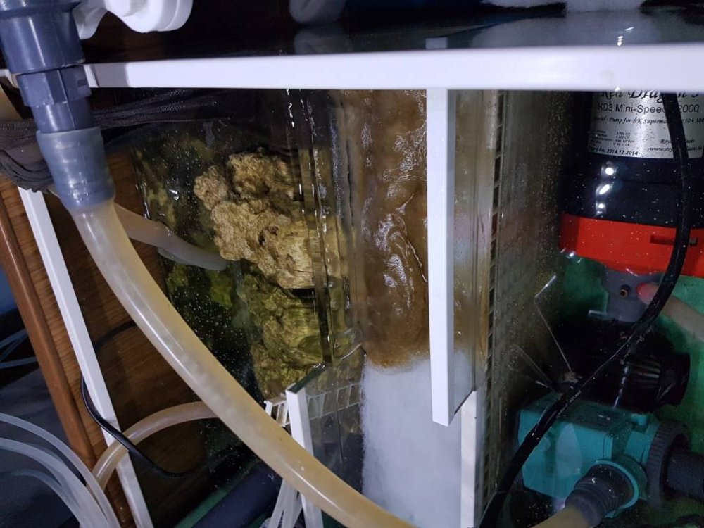 20170403_205823.thumb.jpg.de4b9e8018415f