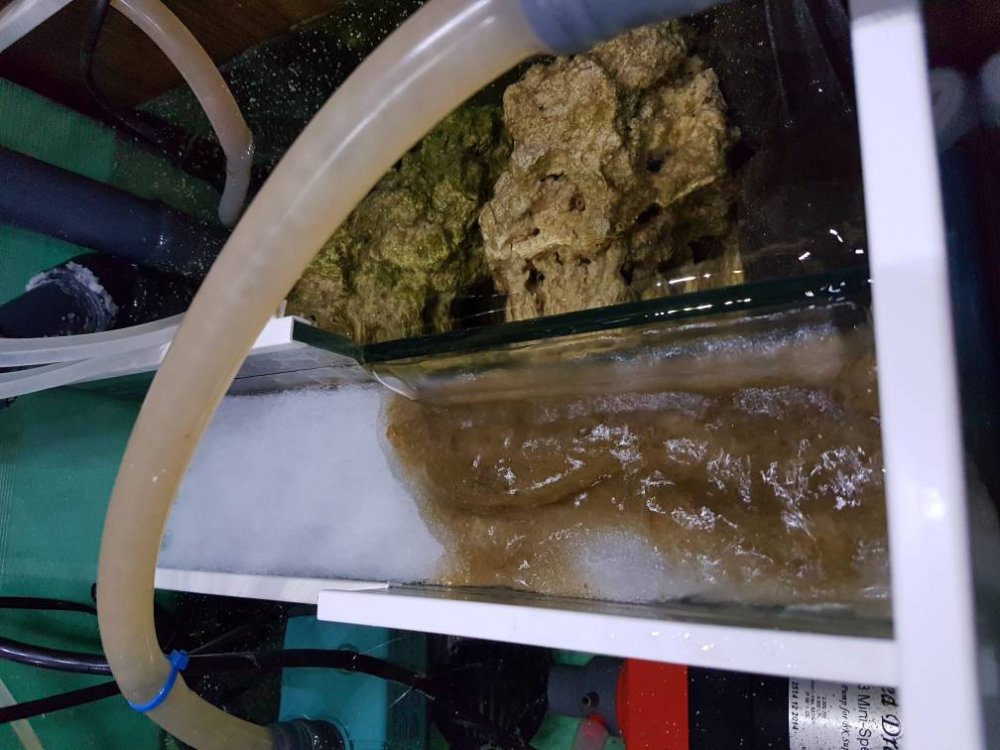 20170403_205839.thumb.jpg.20e9b327ff8102