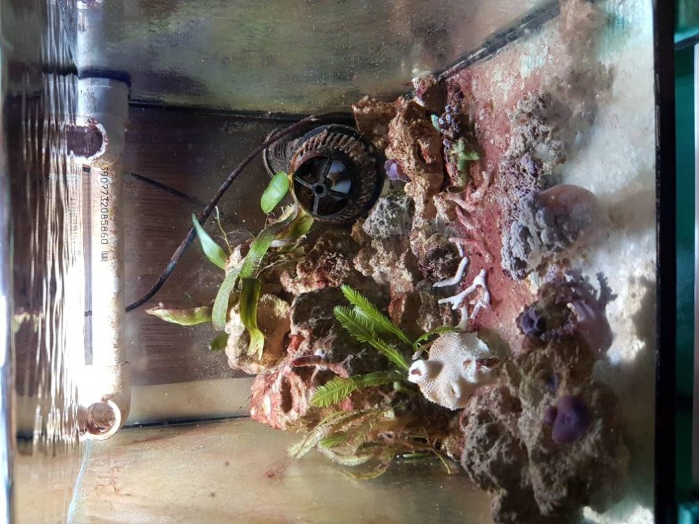 20170407_190644.thumb.jpg.b850097d00cac4