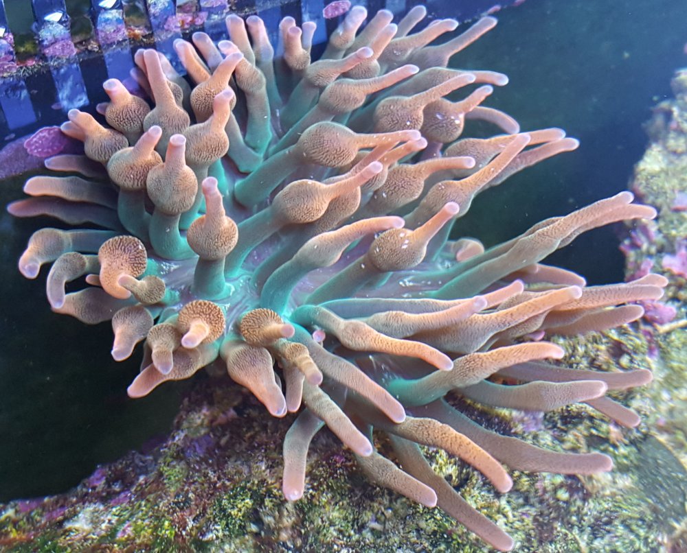 20170401_152501 k.jpg