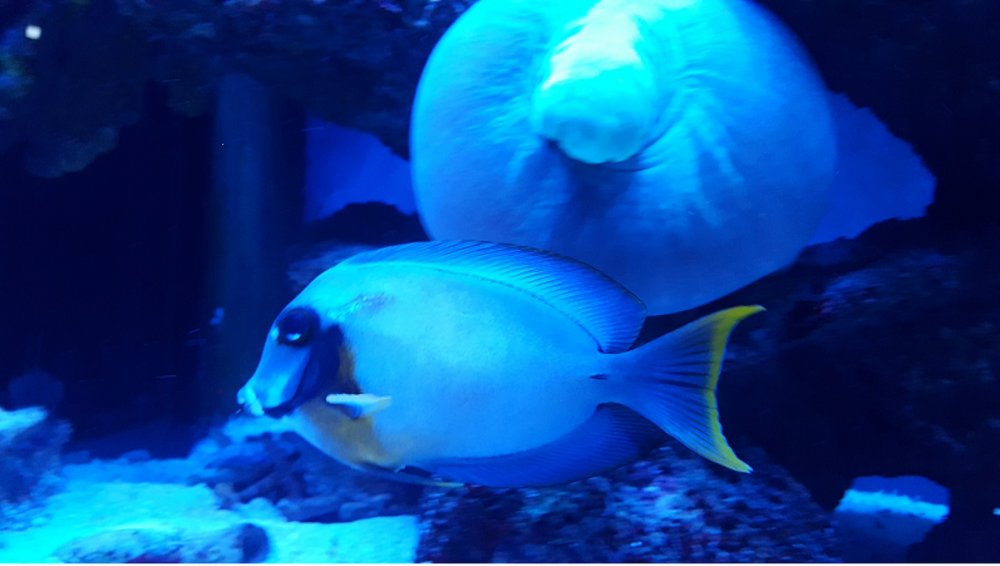 20170403_205556 (1).jpg