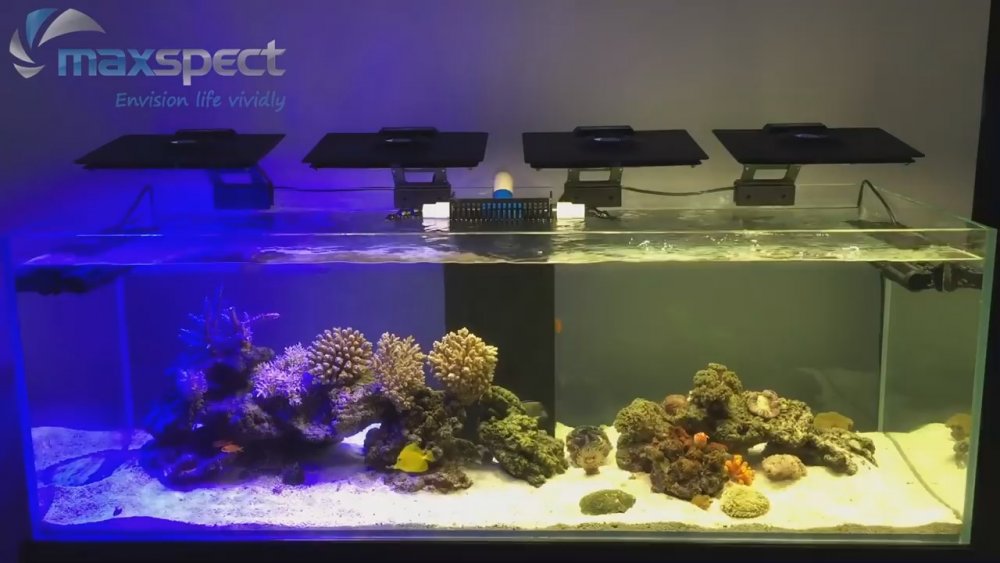 Maxspect Ethereal Synchronized to Music.mp4_snapshot_02.13_[2016.09.25_02.37.50].jpg