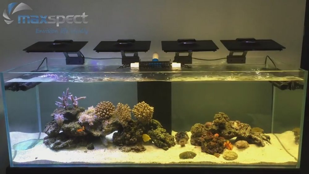 Maxspect Ethereal Synchronized to Music.mp4_snapshot_01.58_[2016.09.25_02.33.08].jpg