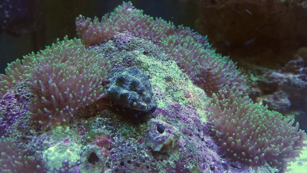 2017-04-10 21.51.51.jpg