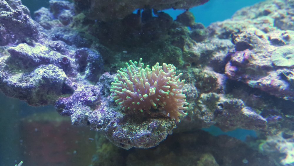 2017-04-10 21.52.25.jpg