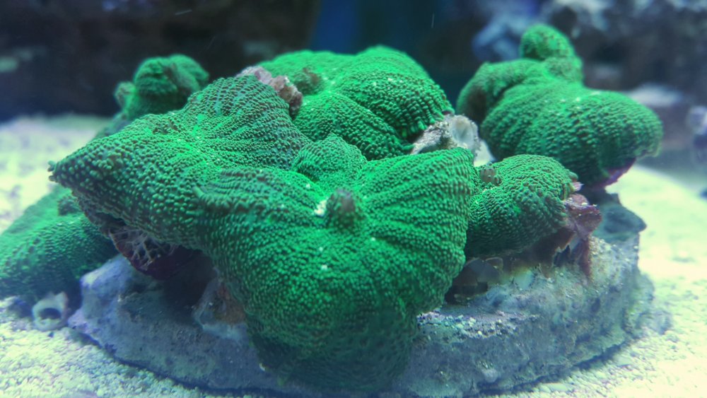 2017-04-10 21.52.53.jpg