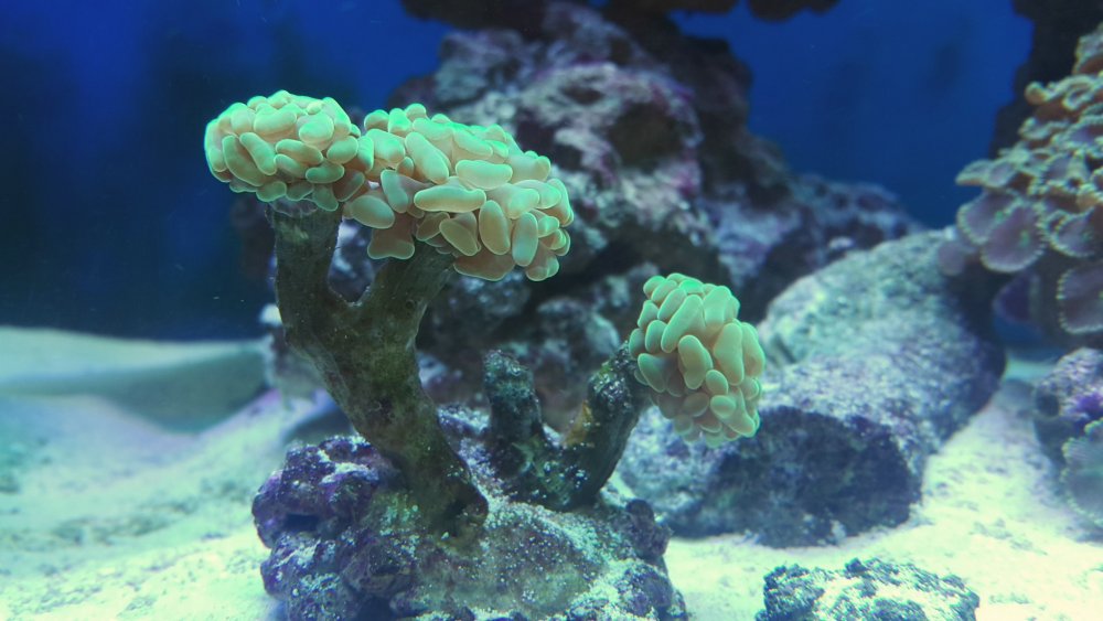 2017-04-10 21.53.21.jpg