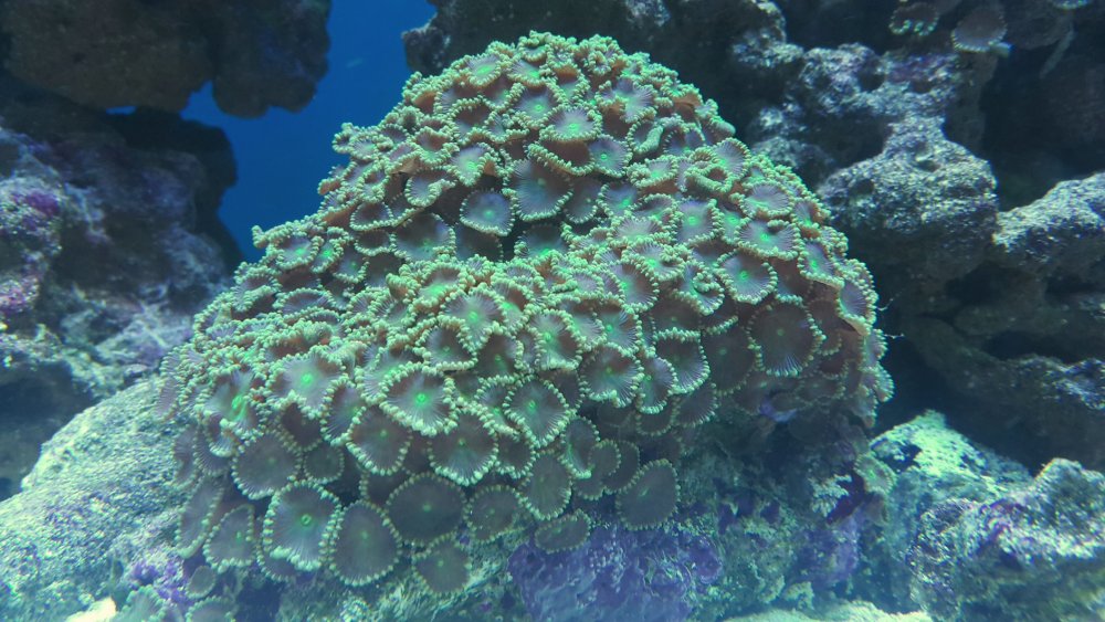 2017-04-10 21.53.58.jpg