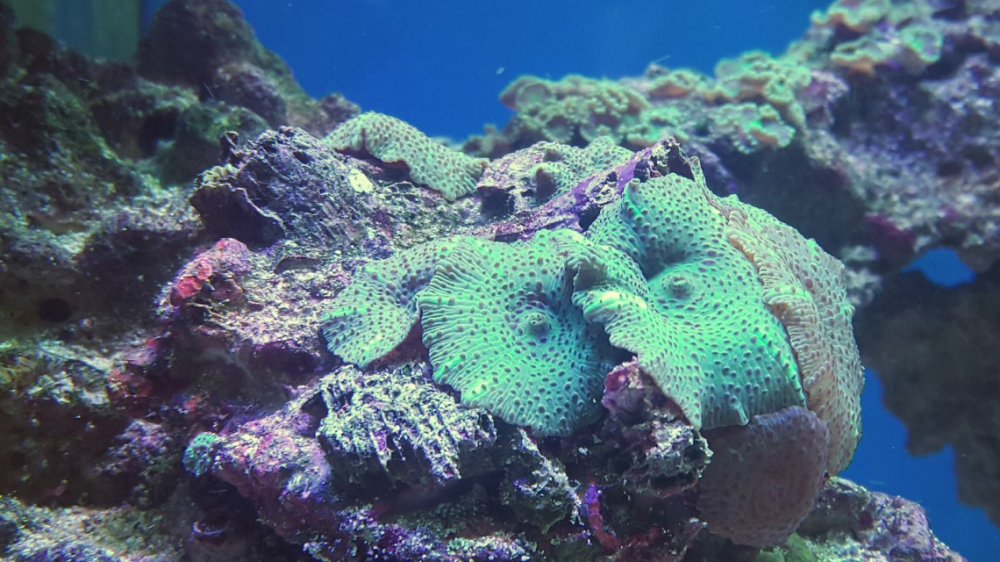 2017-04-10 21.54.41.jpg