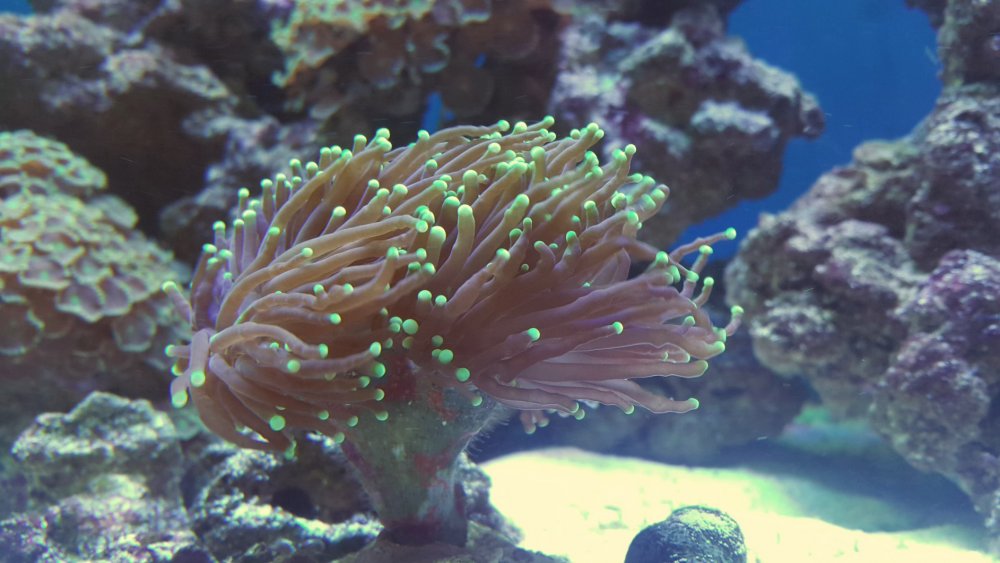 2017-04-10 21.55.21.jpg