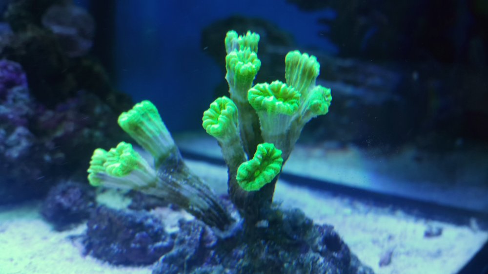 2017-04-10 21.55.46.jpg