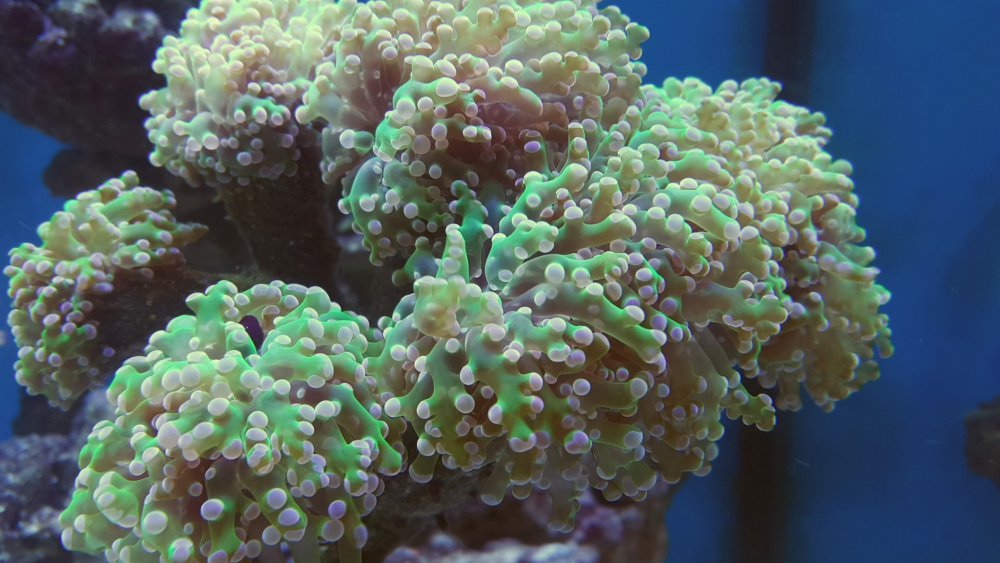 2017-04-10 21.56.12.jpg