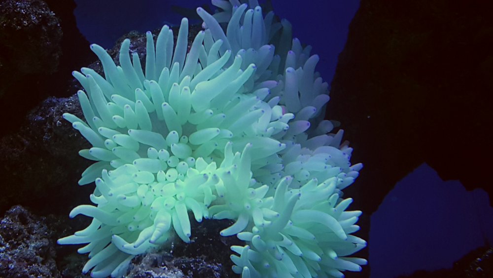 2017-04-10 21.57.00.jpg