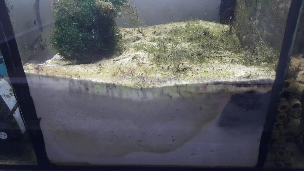 2017-04-13 15.10.40.jpg