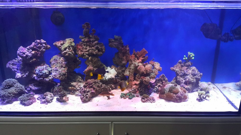 2017-04-21 12.34.40.jpg