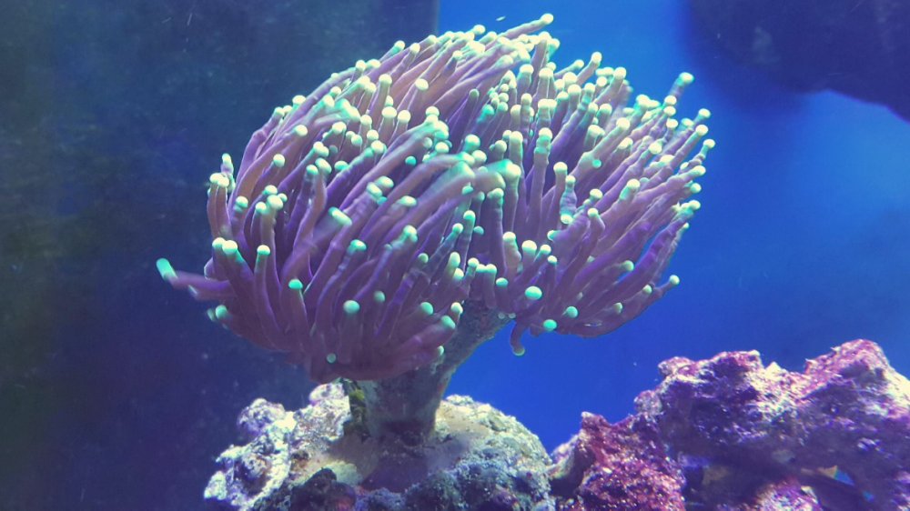 2017-04-22 13.28.47.jpg