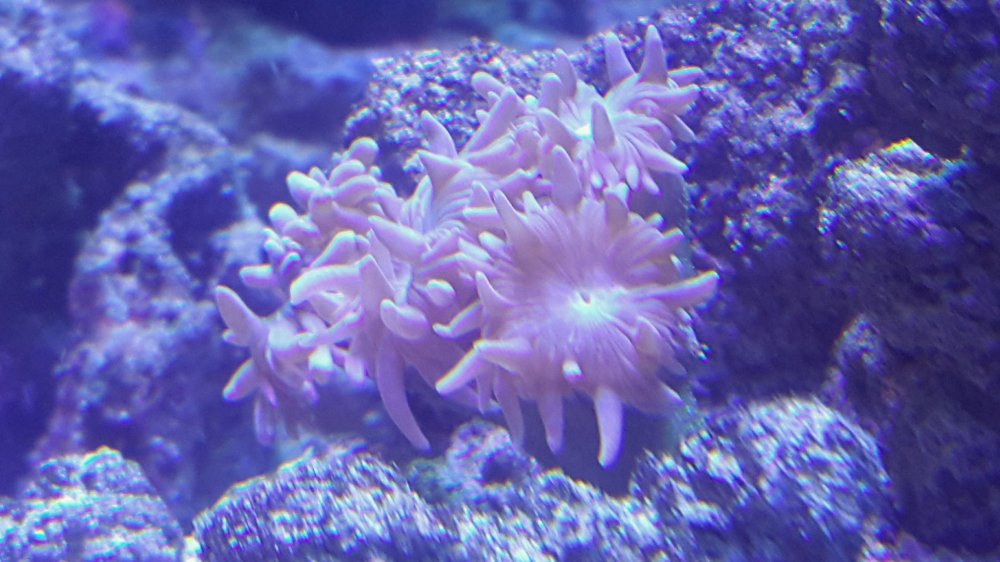 2017-04-22 13.30.40.jpg