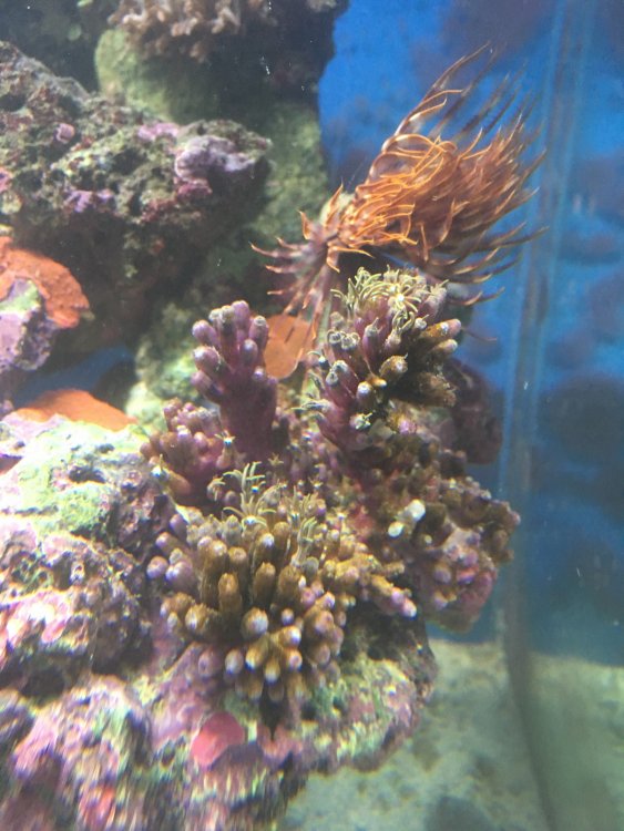 IMG_0224.thumb.JPG.7be0d6d8874daba6fc201