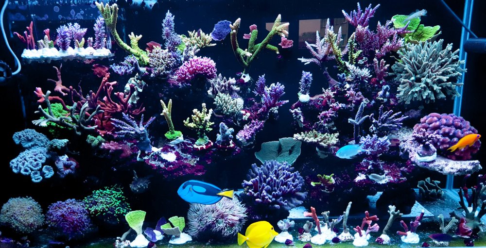 2017-05-04 16.09.47.jpg