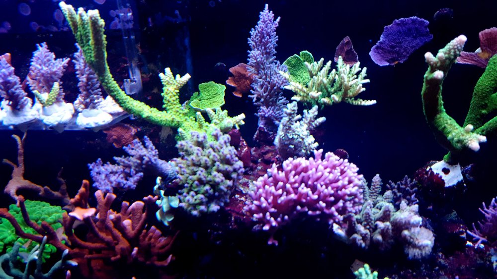 2017-05-04 16.17.49.jpg