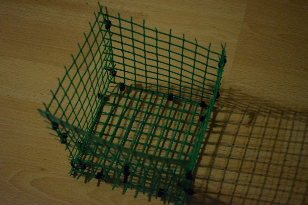 DSC_4536 (Kopiowanie).jpg