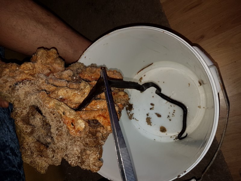 20170514_223514 [800x600].jpg