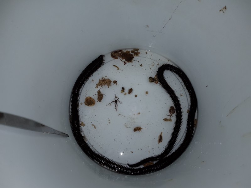 20170514_223831 [800x600].jpg