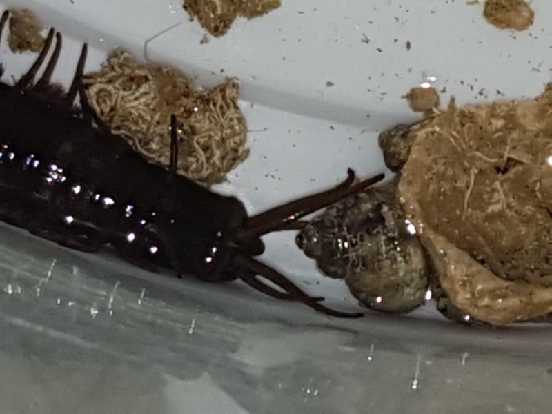 20170514_234333 [800x600].jpg