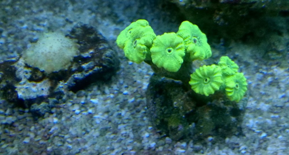 WP_20170515_19_30_28_Pro - Kopia.jpg