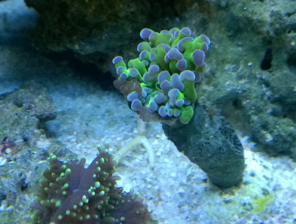 WP_20170515_19_30_16_Pro - Kopia.jpg