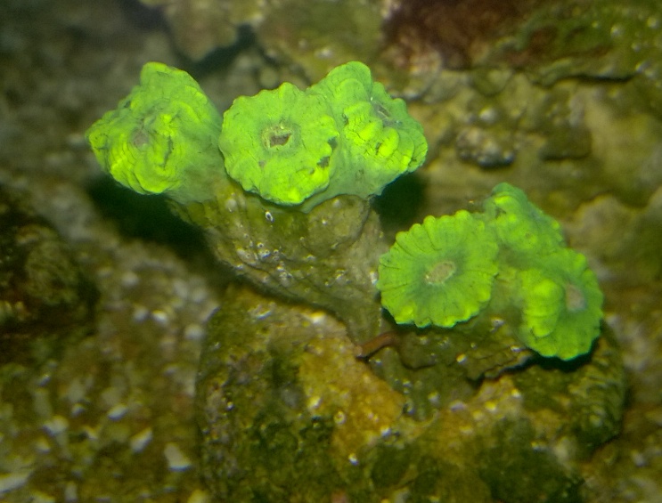 WP_20170515_21_33_27_Pro - Kopia.jpg