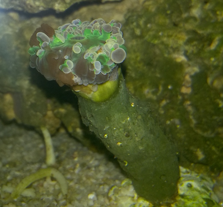 WP_20170515_21_32_10_Pro - Kopia.jpg