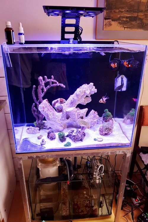 64 dzień i kolejny.jpg